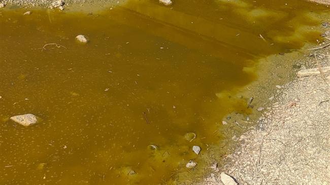  Κ. Χατζηδάκης:  Άμεση και καθαρή λύση  για το Πάρκο Τρίτση