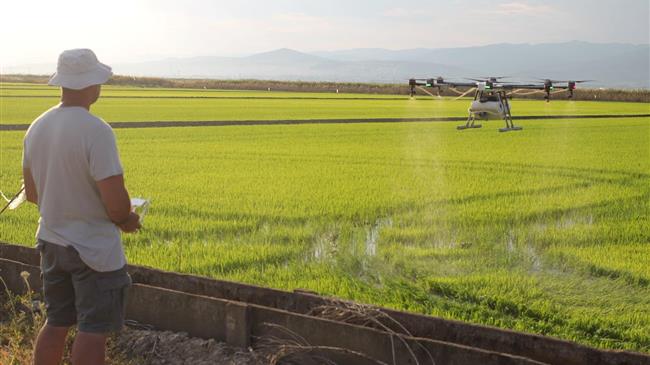 Ξεκινά το πρόγραμμα εναέριων ψεκασμών για την καταπολέμηση των κουνουπιών στους ορυζώνες