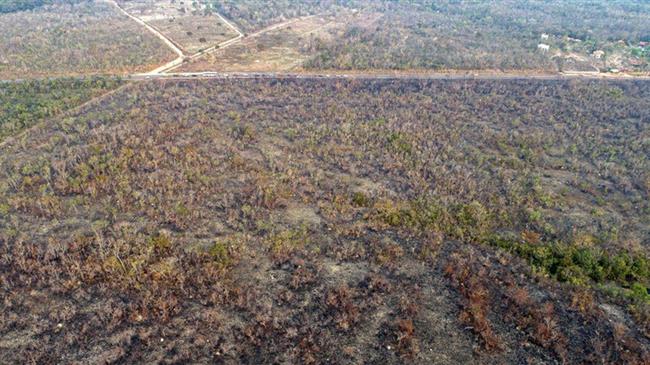 Γ. Αρβανιτίδης: για στόχους Βιώσιμης Ανάπτυξης ΟΗΕ και Αμαζόνιο