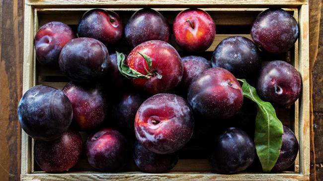 Τζαμτζής: Οικονομική ενίσχυση στους παραγωγούς δαμάσκηνων της Πέλλας