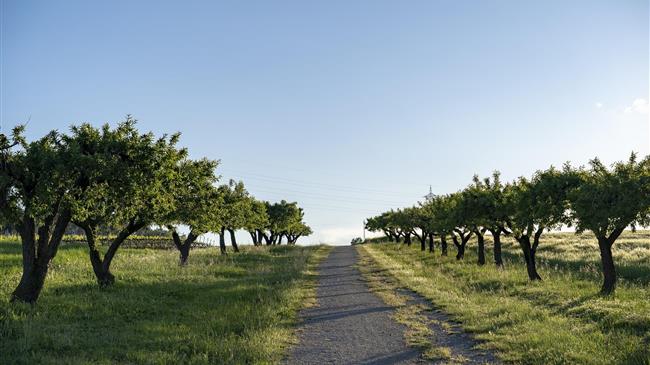 Ισπανία: Πάνω από 810 εκατ. ευρώ οι ζημιές στον αγροδιατροφικό τομέα λόγω ξηρασίας