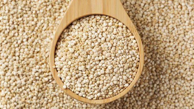 Κινόα: Μια εναλλακτική καλλιέργεια με λαμπρό μέλλον στην Ελλάδα