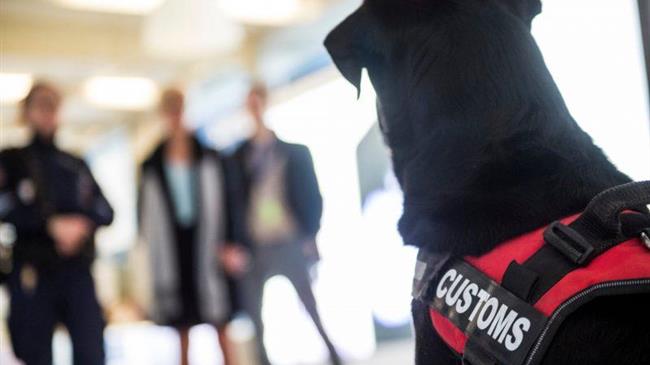Το 2018 τα τελωνεία της ΕΕ σταμάτησαν παραποιημένα και δυνητικά επικίνδυνα εμπορεύματα 
