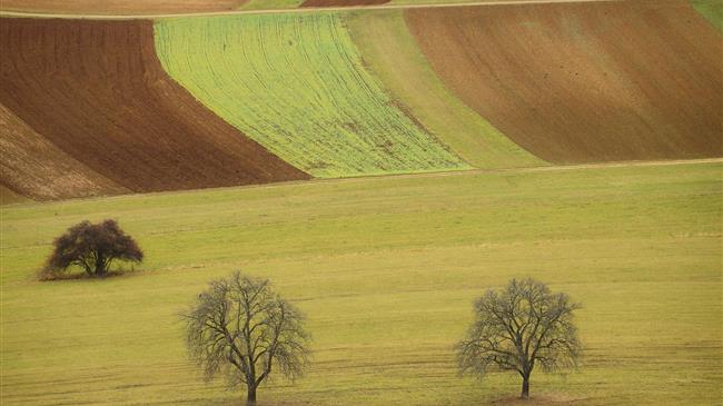 Κόκκαλης: Σε «αχαρτογράφητα ύδατα» η ελληνική γεωργία από την Συμφωνία Ε.Ε. – χωρών της Mercosur