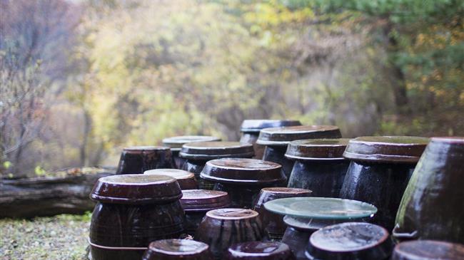 Αύξηση στις εξαγωγές γεωργικών προϊόντων της Ε.Ε.  