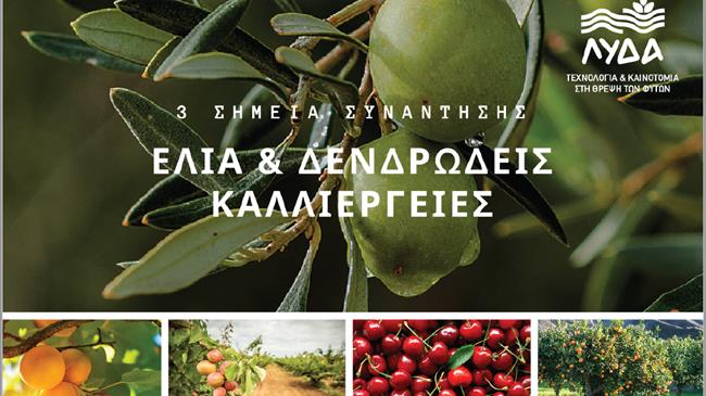 «Ελιά και Δενδρώδεις Καλλιέργειες»