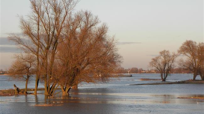 Στην Επιτροπή Περιβάλλοντος για τα οικονομικά εργαλεία αντιμετώπισης της Κλιματικής Αλλαγής