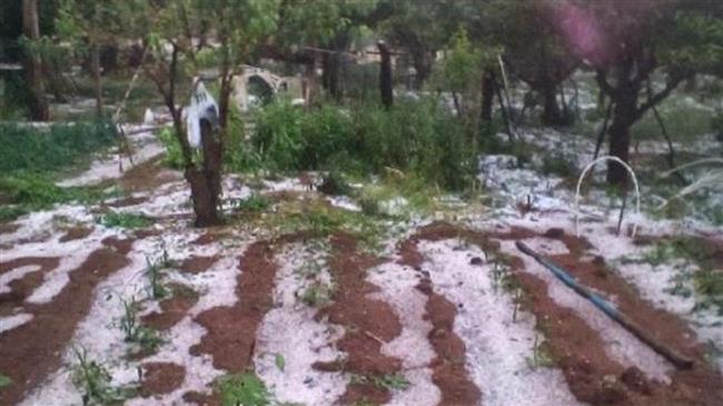 Καταστροφές σε καλλιέργειες σε Τρίκαλα και Αιτωλοακαρνανία 