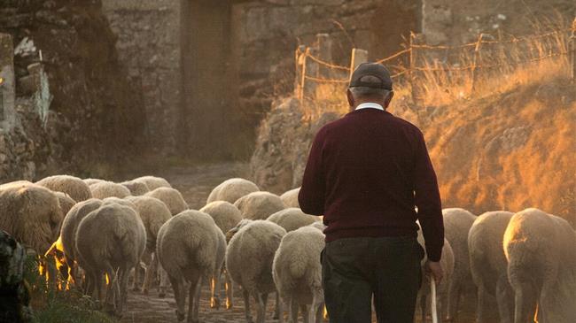 Ενίσχυση της καινοτομίας των ελληνικών αγροτικών επιχειρήσεων