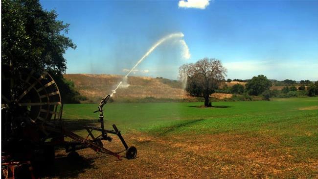 «Αντιμέτωποι με την καταστροφή χιλιάδες αγρότες της Αιτωλοακαρνανίας»