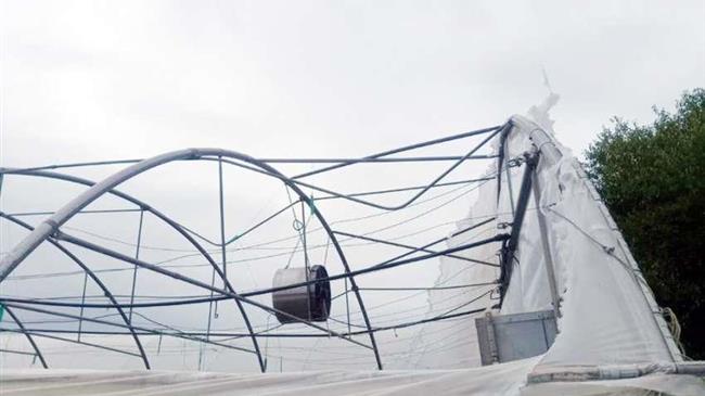 Μεγάλες καταστροφές σε θερμοκήπια και καλλιέργειες ακτινιδίων 