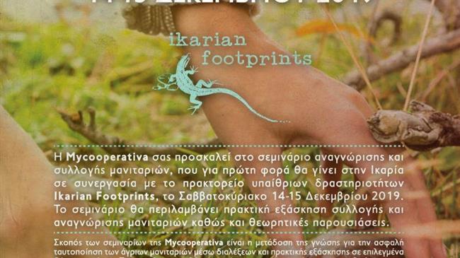 Μανιτάρια Ικαρίας: διήμερο σεμινάριο αναγνώρισης και συλλογής μανιταριών: 14-15/12/2019