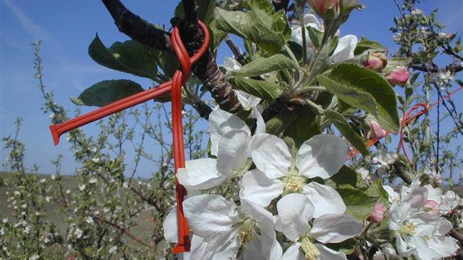 Κομφούζιο: Έως 5 Μαΐου 2025 η ένταξη στο πρόγραμμα