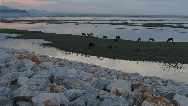 Τροποποίηση στην Προστασία και αποκατάσταση της θαλάσσιας βιοποικιλότητας και των οικοσυστημάτων