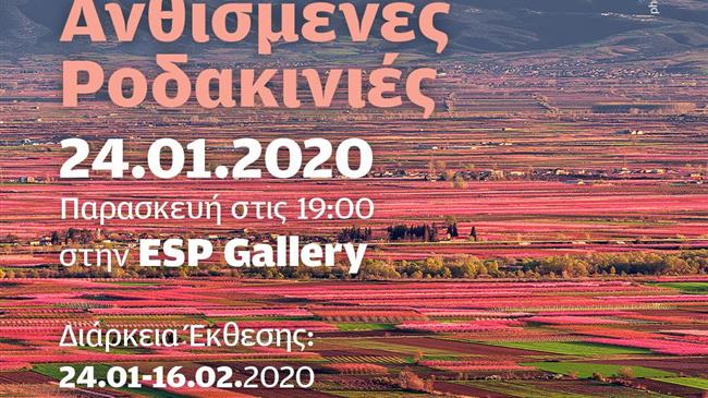 Οι Ανθισμένες Ροδακινιές της Βέροιας ταξιδεύουν στη Θεσσαλονίκη