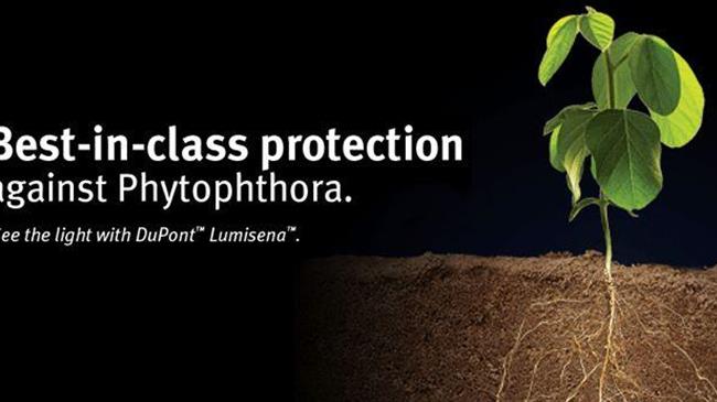 'Αδεια παρέκκλισης  στο μυκητοκτόνο Lumisena για επένδυση σπόρων ηλίανθου