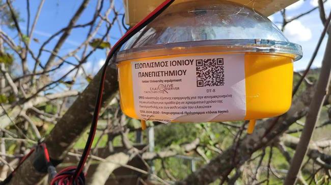 "Ελαιοπαρατηρητής": Όταν η γνώση συναντά τον πρωτογενή τομέα