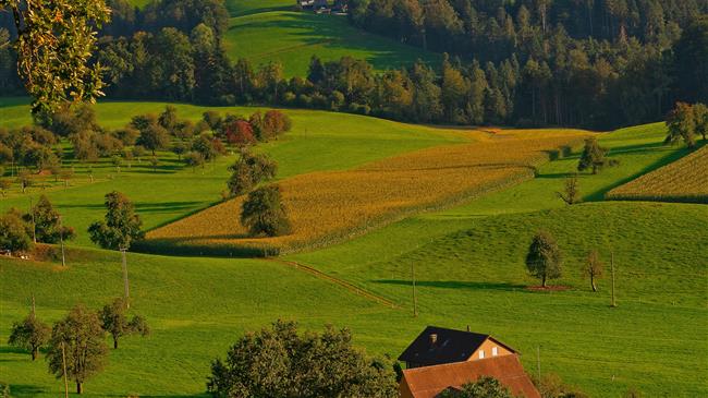 Βελτιστοποίηση της παραγωγής ζωοτροφών του  ΘΕΣγη μέσα από ερευνητικό έργο