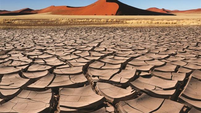 Bayer: επιβεβαιώνει την ηγετική της θέση στον τομέα των δράσεων βιωσιμότητας για το κλίμα