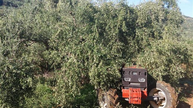 Νέα ΚΑΠ: η διαφαινόμενη μείωση του προϋπολογισμού αποτελεί μεγάλη πρόκληση για την Ελληνική Γεωργία