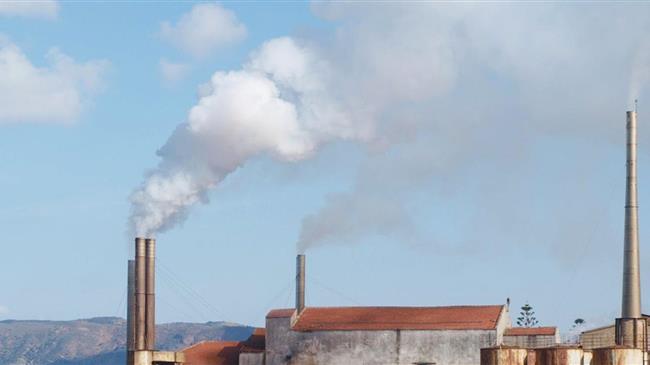 Πυρηνελαιουργεία: “Απαιτείται αλλαγή του θεσμικού πλαισίου”