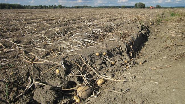 Κόστος παραγωγής και αγροτικά τραπεζικά χρέη συζητήθηκαν μεταξύ ΠΑΣΟΚ-ΚΙΝΑΛ με ΣΑΣΟΕΕ