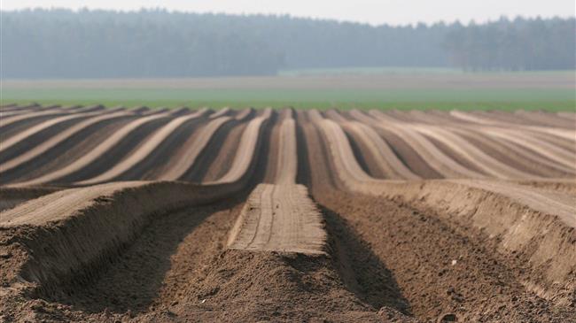Οι προτάσεις του ΠΑΣΟΚ για την αναθεώρηση της ΚΑΠ