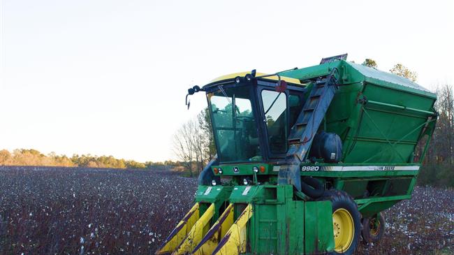 Ολοκληρωμένη Φυτοπροστασία της Βαμβακοκαλλιέργειας