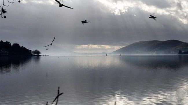 Λίμνη Καστοριάς: Νεκρά πουλιά αποκαλύπτονται από το ξεπάγωμα της λίμνης