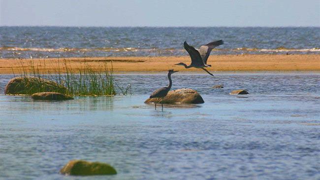 Διευκρινίσεις για τις περιοχές Natura ζητάει η Κομισιόν