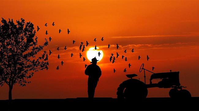 Farmers: English farmers face subsidy cuts of up to 25%