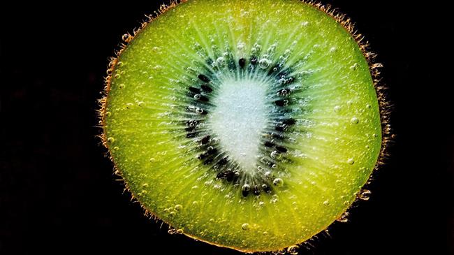 Διεθνής «παίκτης» το ελληνικό ακτινίδιο