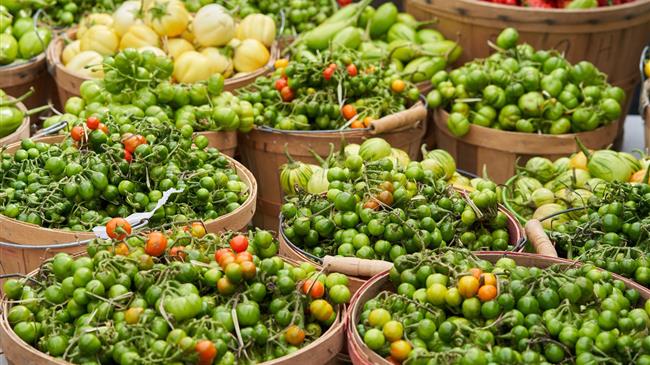 Ελληνικές Εξαγωγές: Με επιδόσεις δύο ταχυτήτων στη Γερμανία