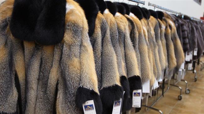 Κορωνοϊός: Η γούνα εκπέμπει sos  εξαιτίας του