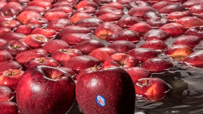  ΖΑGΟRΙΝ:  γεωργική παραγωγή και στοχευμένες δράσεις περιβαλλοντικής προστασίας