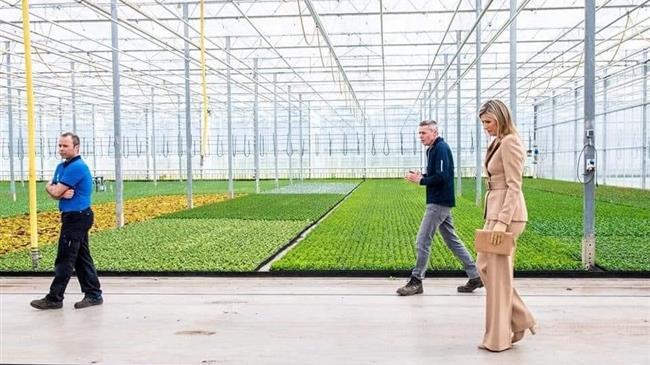 Ανθοπαραγωγοί: Αλληλεγγύη στους Έλληνες όχι στους Ολλανδούς που έδειξαν το σκληρό πρόσωπο στο Eurogroup 