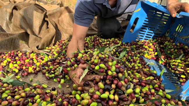 Το πρόβλημα επιλύθηκε για την κάρτα του αγρότη 