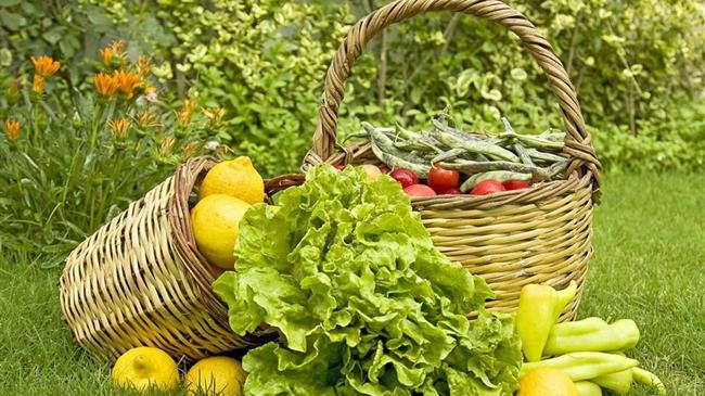 Τροποποίηση 1ης Πρόσκλησης για Βιολογικές Πρακτικές: Νέες Ενισχύσεις για Νεοεισερχόμενους!