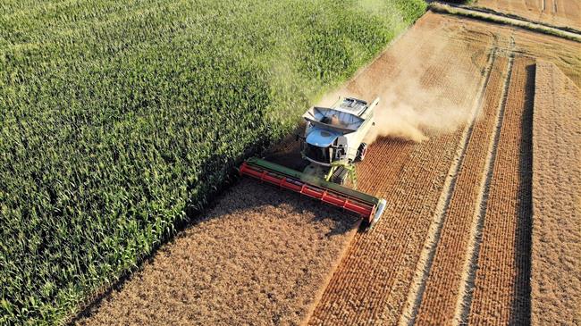 Thousands of climate activists appeal to Brussels to withdraw farm policy