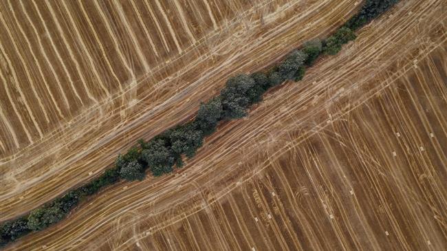 Κεφαλογιάννης για ΚΑΠ: «Ισχυρή χρηματοδότηση, μείωση γραφειοκρατίας»