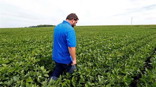 Don’t Worry About Supermarket Shelves. Worry About Farmers.