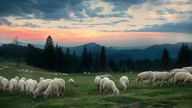 Λαϊκή Συσπείρωση: για τους αγροτοκτηνοτρόφους της Κρήτης