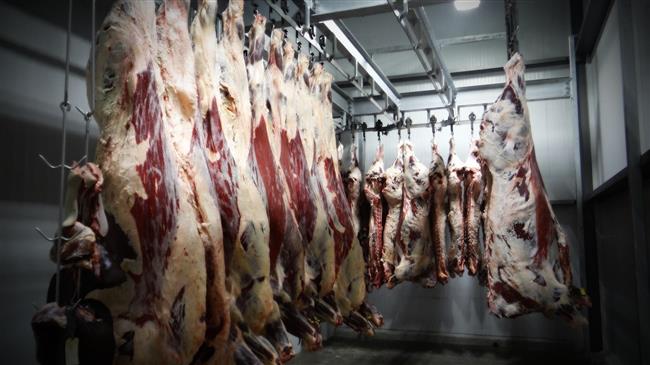 Δυσεπίλυτη «εξίσωση» για τους κρεοπώλες η προμήθεια ντόπιων αμνοεριφίων λόγω ευλογιάς