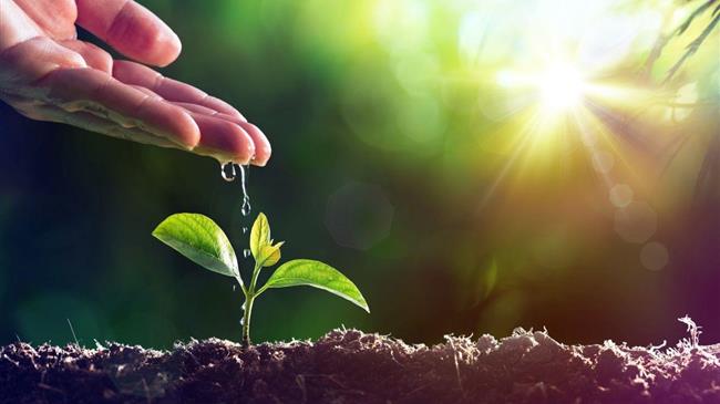 Εγγραφή ποικιλιών μεγάλου αριθμού φυτικών ειδών στον εθνικό κατάλογο