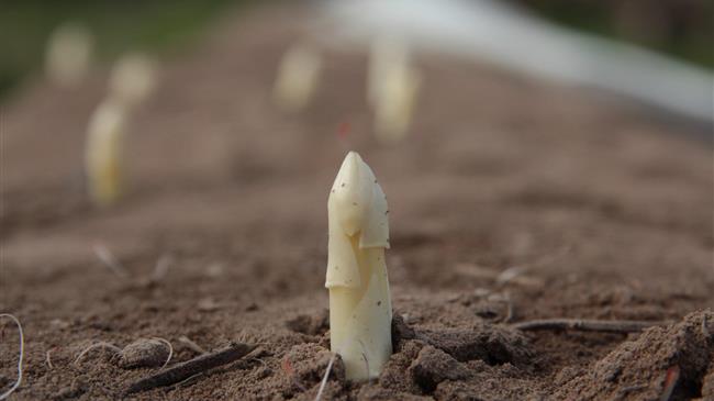 Τσιάρας: Εντός του Οκτωβρίου η νομοθετική ρύθμιση για τα κόκκινα δάνεια