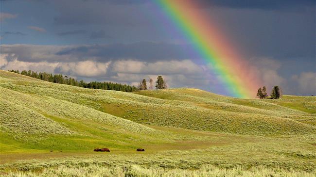 Τι θα συμβεί σε Γεωργία και Κτηνοτροφία της Ε.Ε. από τώρα έως το 2035