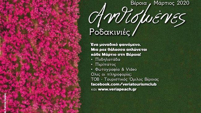 Ποδηλατάδα και περίπατος στις Ανθισμένες Ροδακινιές!