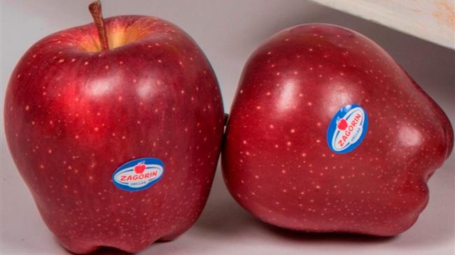 Ανοσοποιητικό  Σύστημα και Μήλα 