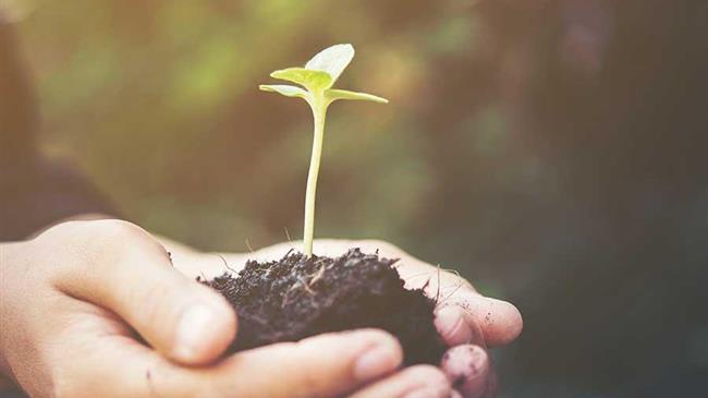 Η Επιτροπή προετοιμάζει το έδαφος για «φιλόδοξη» βιώσιμη στρατηγική χρηματοδότησης