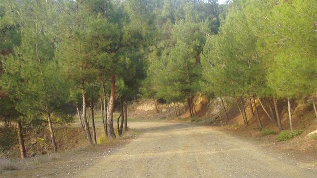 Θεσσαλονίκη: Απαγόρευση κυκλοφορίας στο Σέιχ Σου